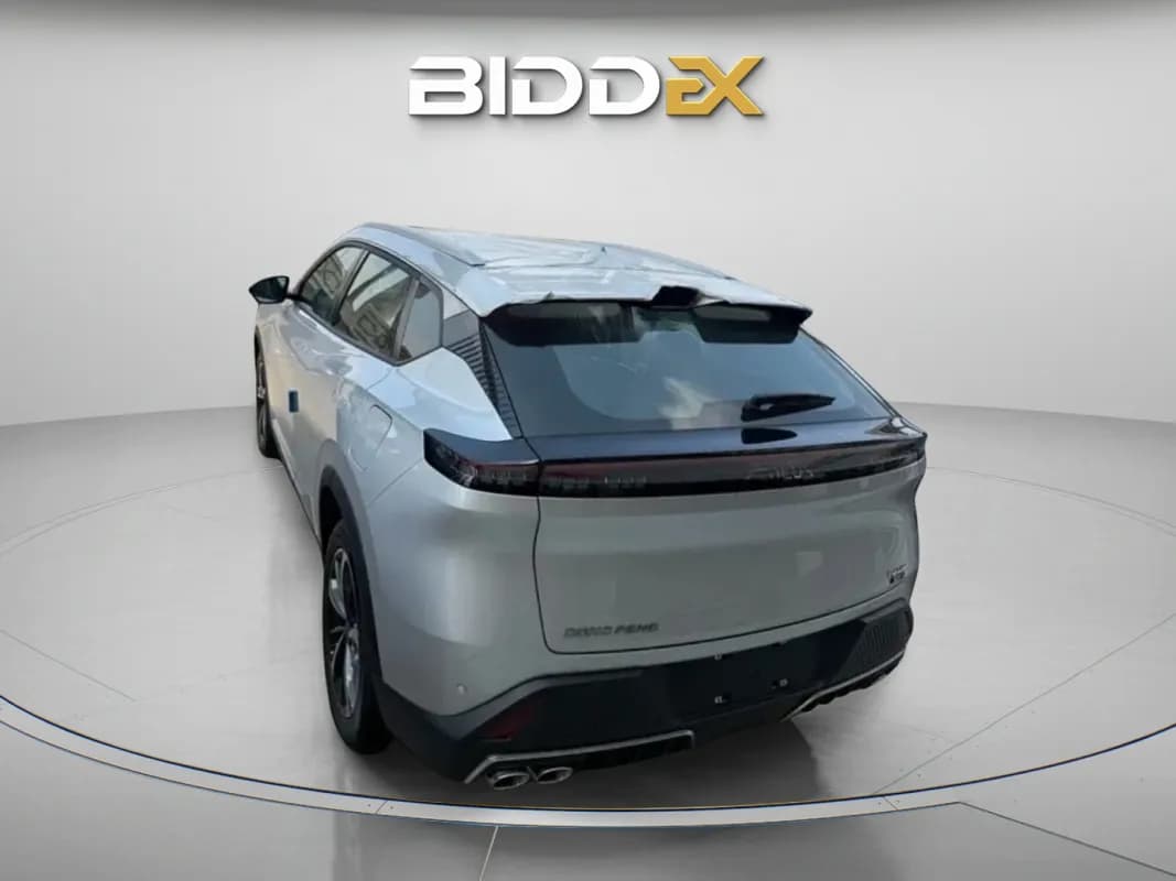 دونج فينج ماجي 2025