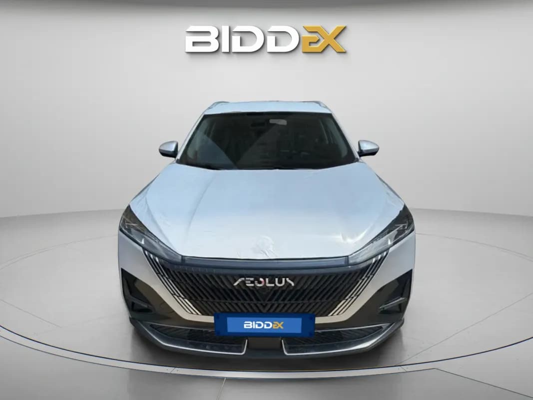 دونج فينج ماجي 2025