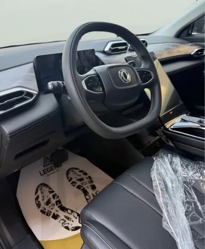 دونج فينج ماجي 2025