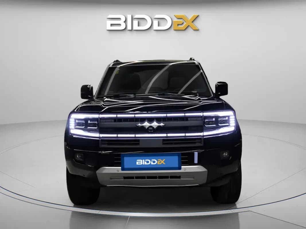 بي واي دي ليوبارد 2025