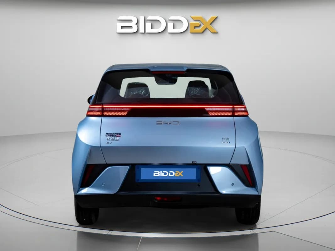 بي واي دي سي جال 2025