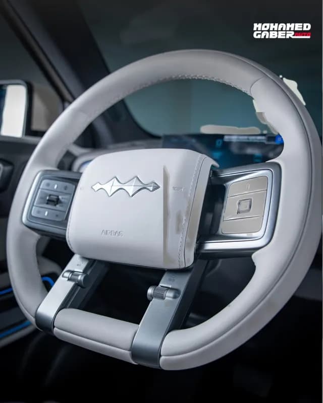 بي واي دي ليوبارد 2025