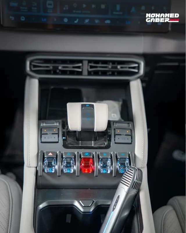 بي واي دي ليوبارد 2025