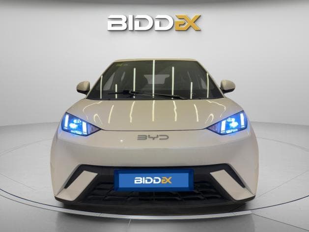 بي واي دي سي جال 2025