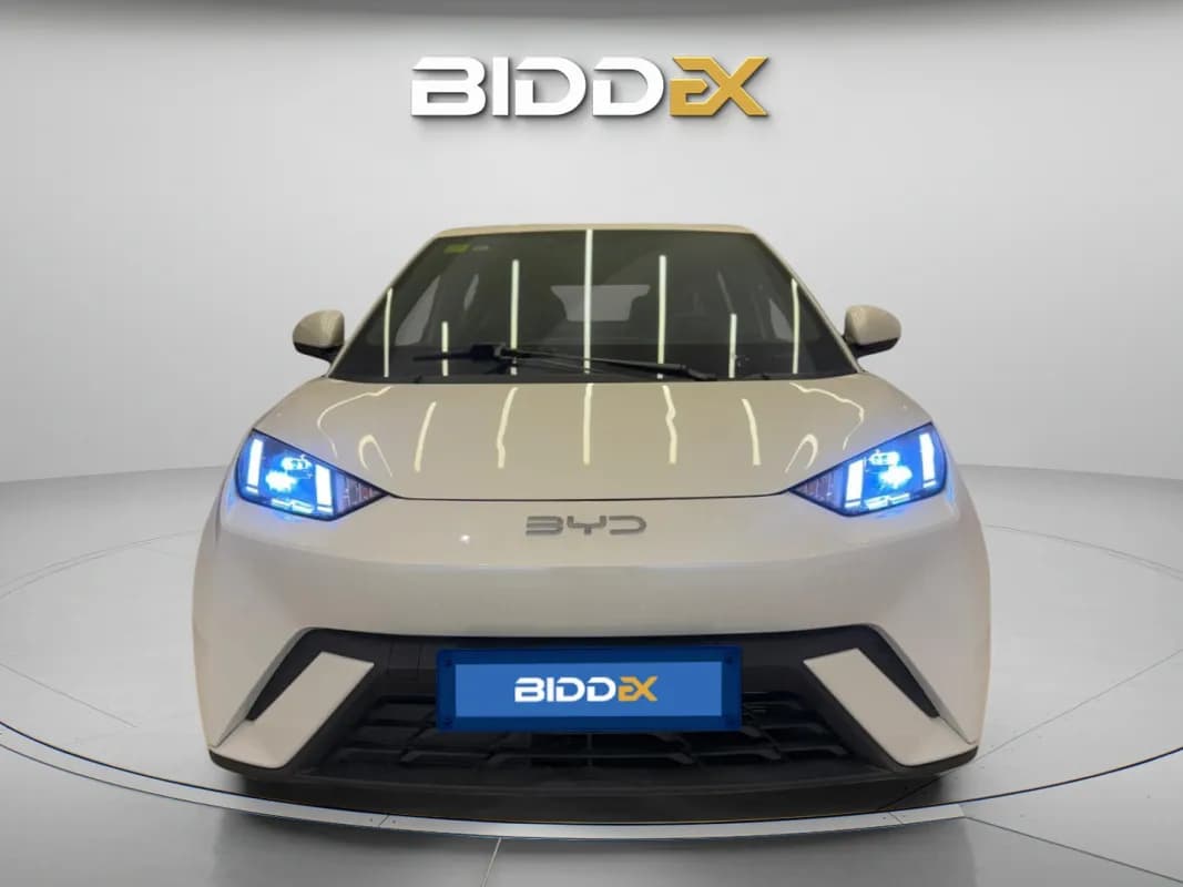 بي واي دي سي جال 2025