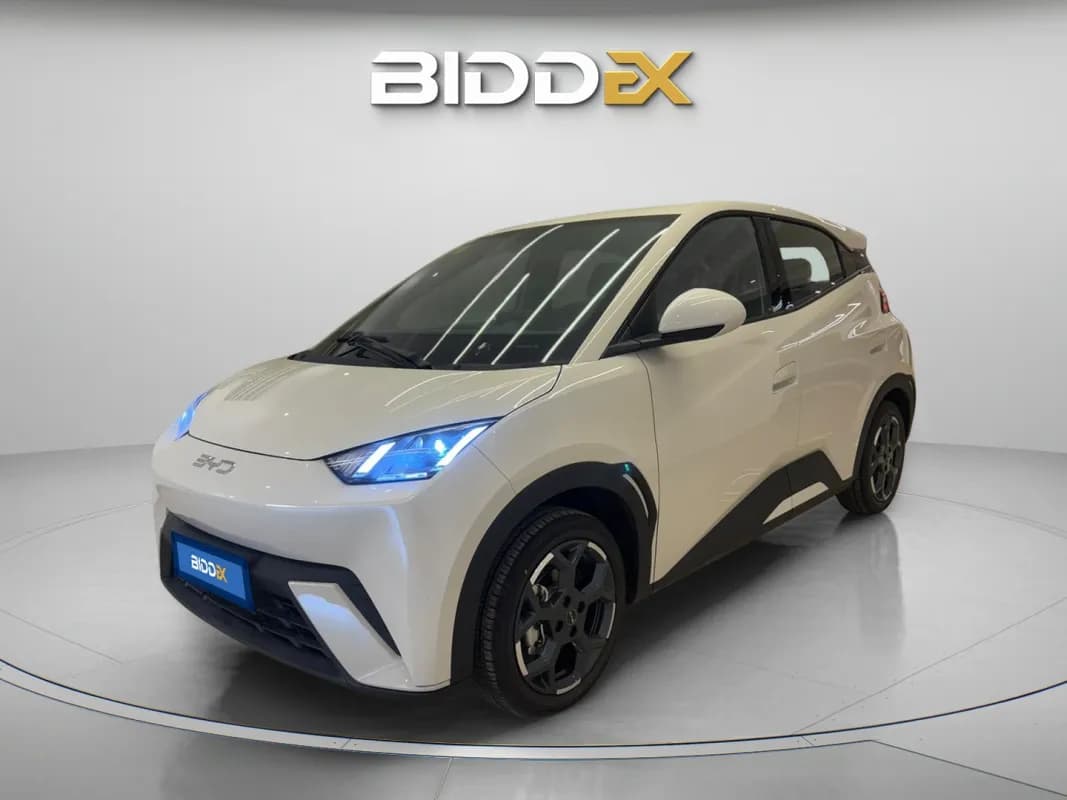 بي واي دي سي جال 2025