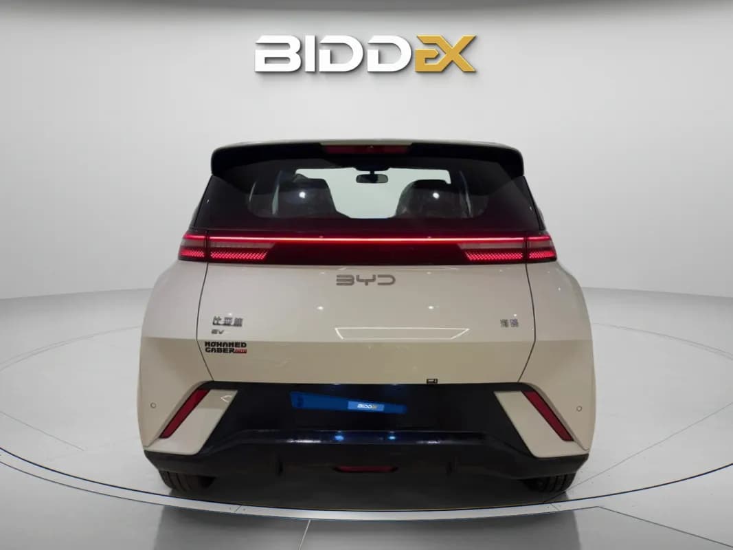 بي واي دي سي جال 2025