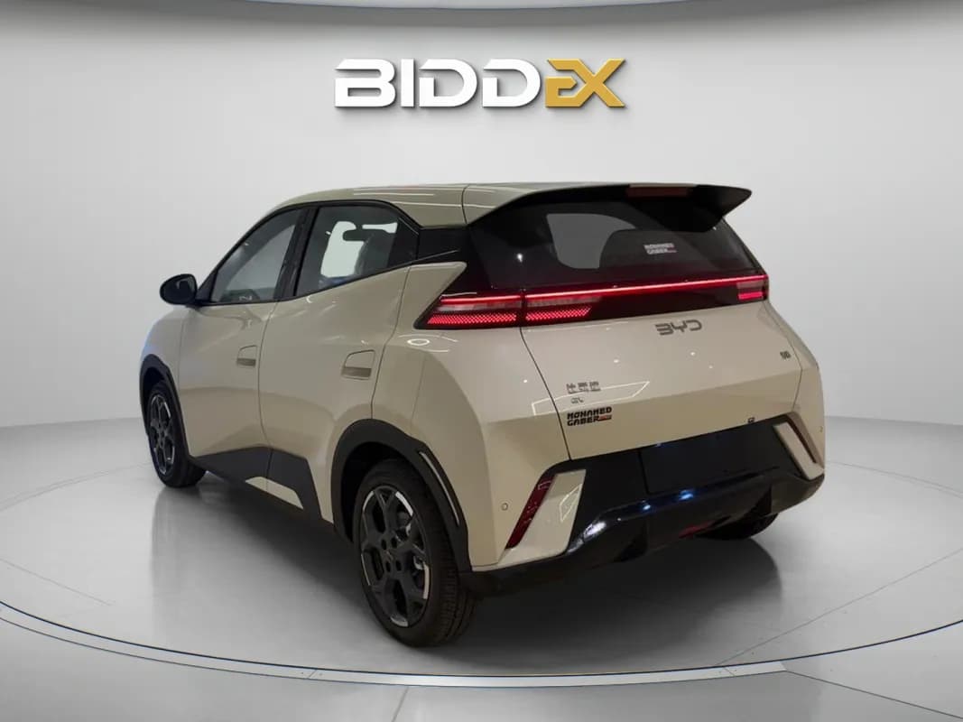 بي واي دي سي جال 2025