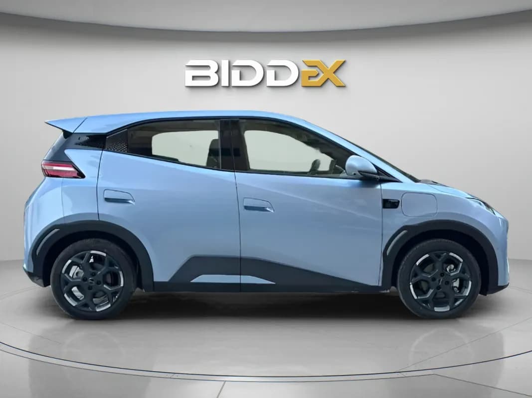 بي واي دي سي جال 2025