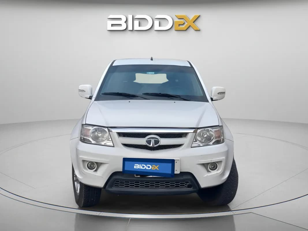 تاتا زينون 2024