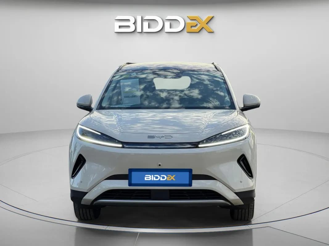 بي واي دي سيليون 2025