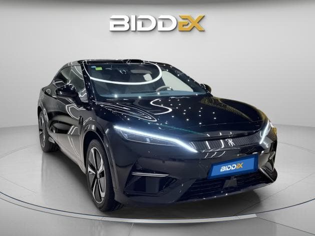 بي واي دي سونج ال 2025