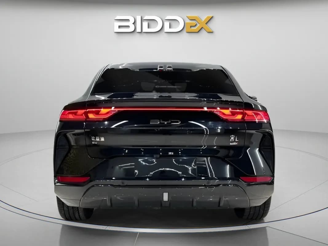 بي واي دي سونج ال 2025