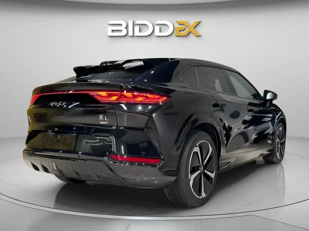 بي واي دي سونج ال 2025