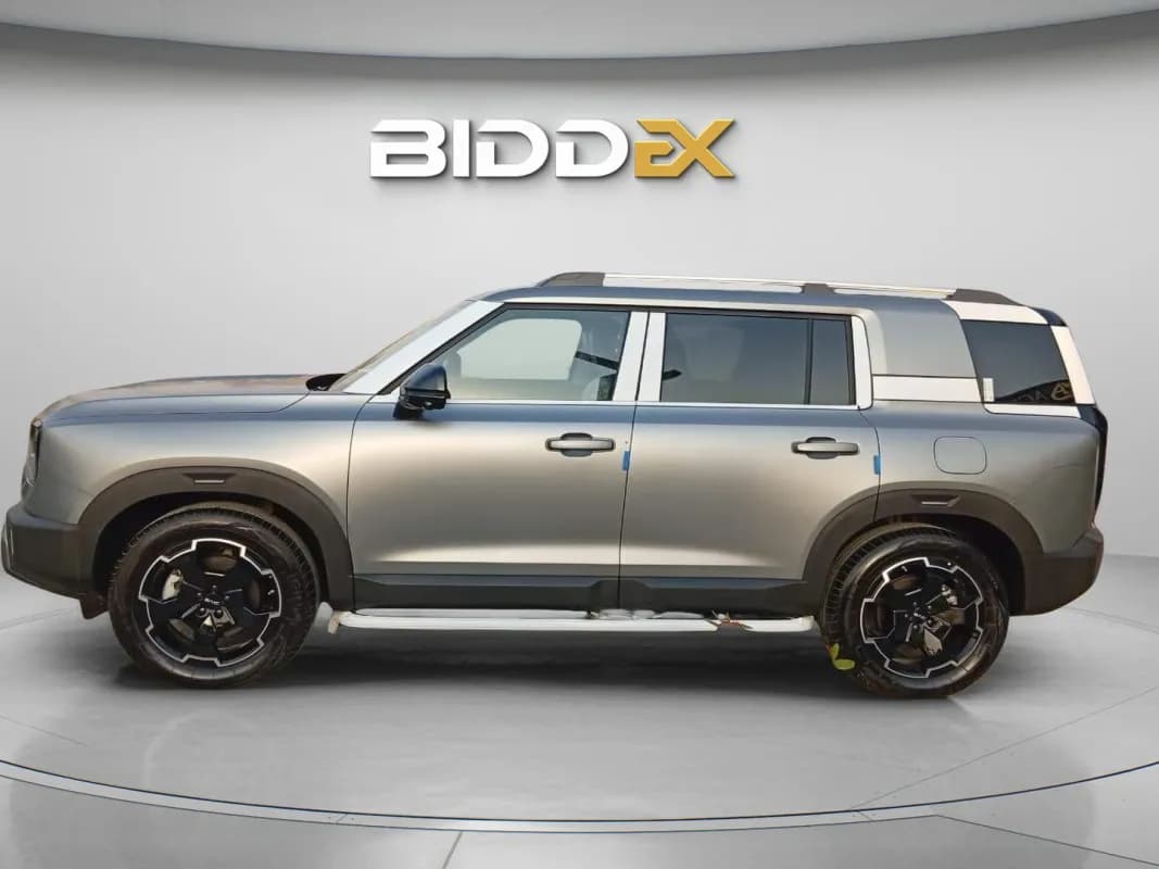 بايك بي جي ٣٠ 2026 الترا هايبرد رمادي أوتوماتيك — جديدة