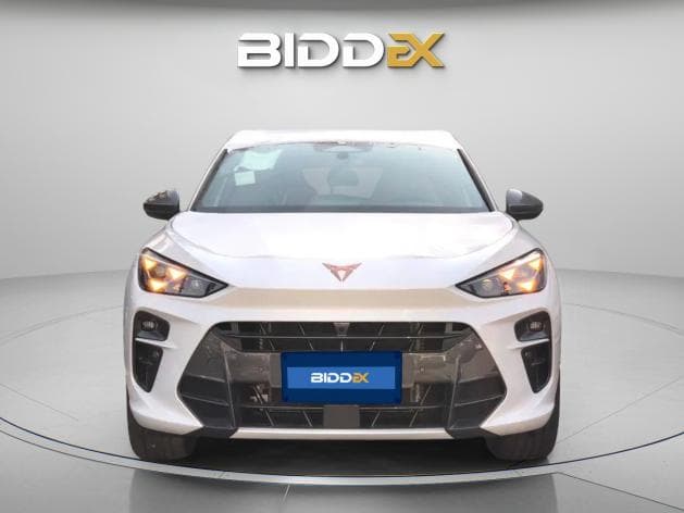 كوبرا تيرامار 2026