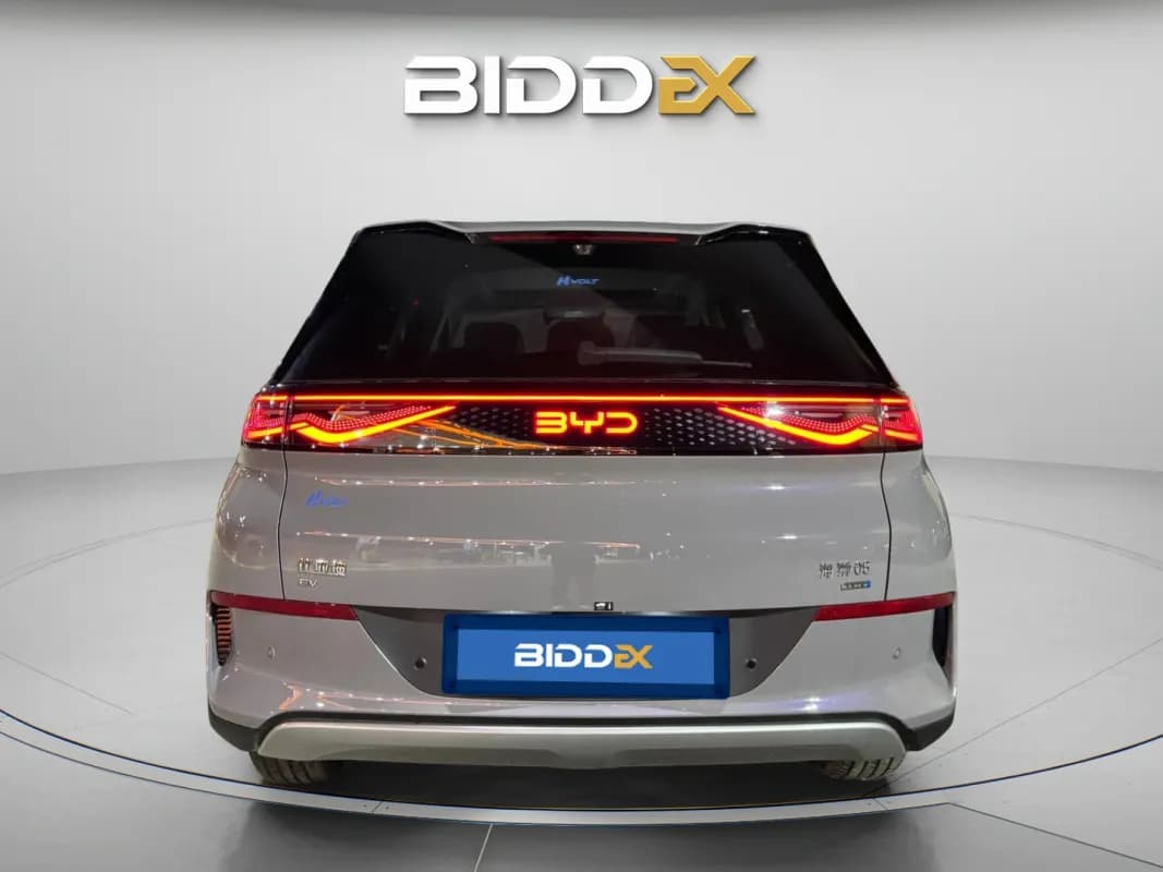 بي واي دي سيليون 2025