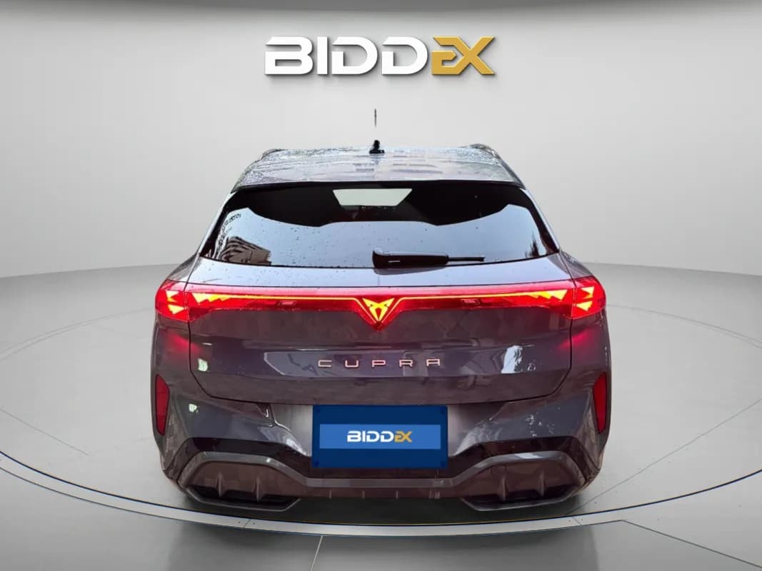 كوبرا تيرامار 2025