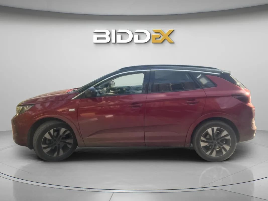 أوبل جراند لاند 2024