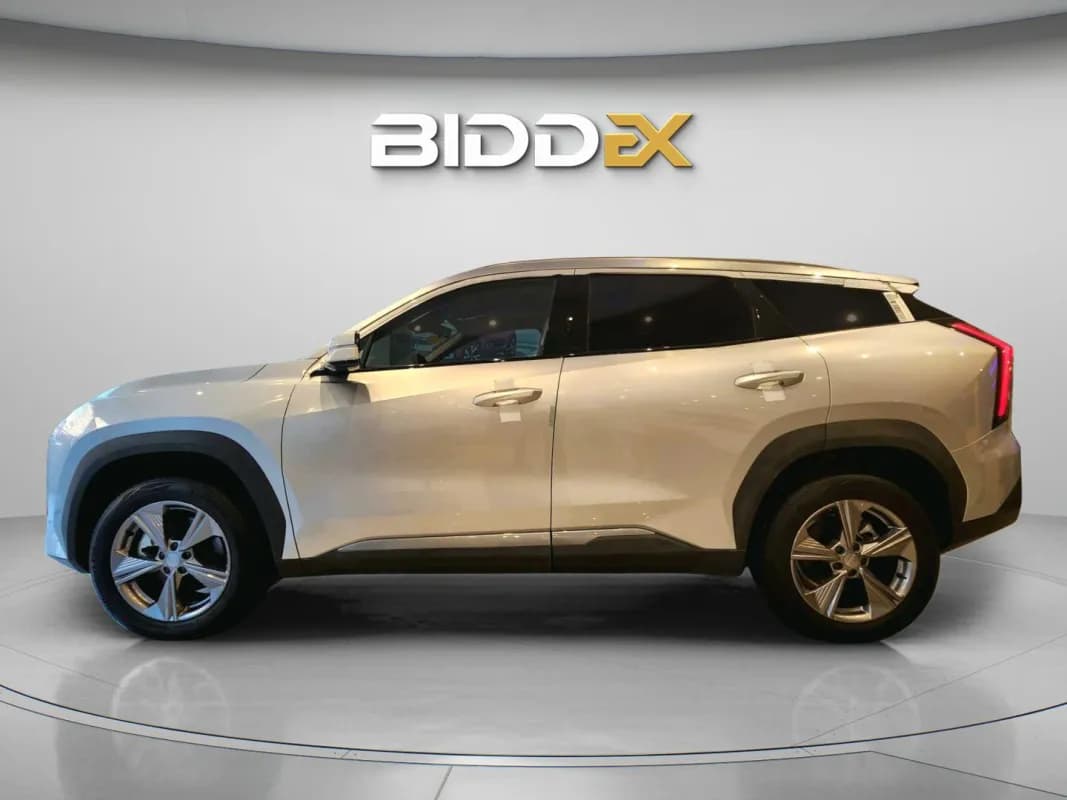 جيلي ستار راي 2025