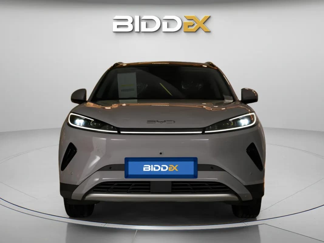 بي واي دي سيليون 2025