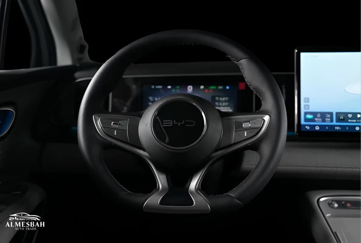 بي واي دي سيليون 2025