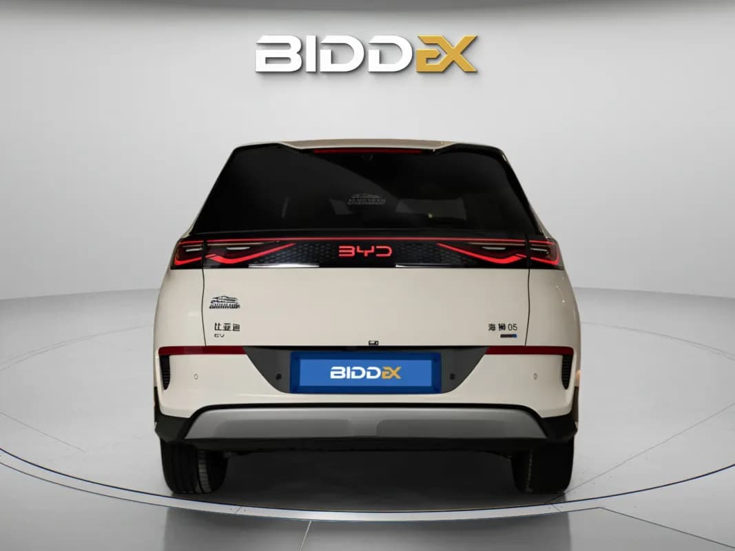 بي واي دي سيليون 2025