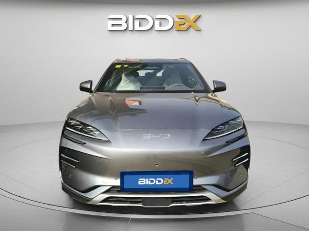 بي واي دي سونج ال 2025