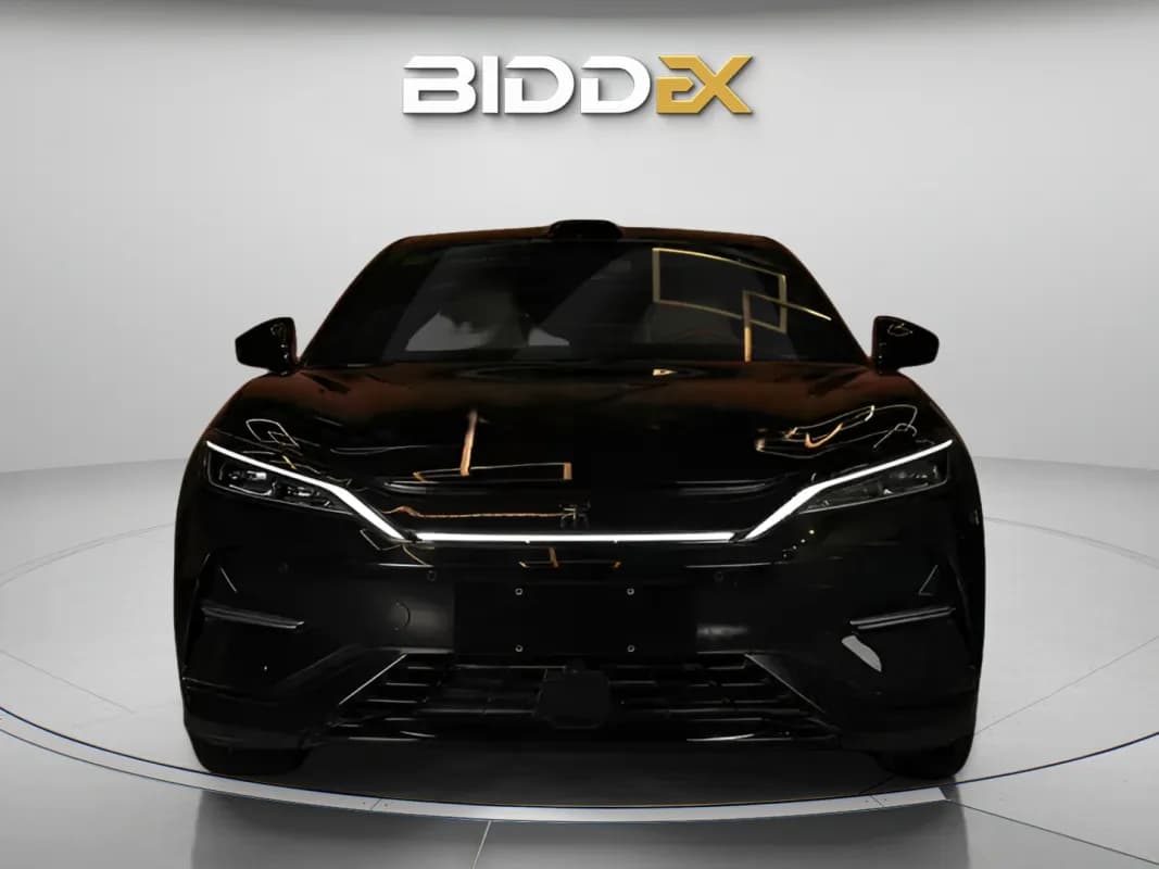 بي واي دي سونج ال 2025