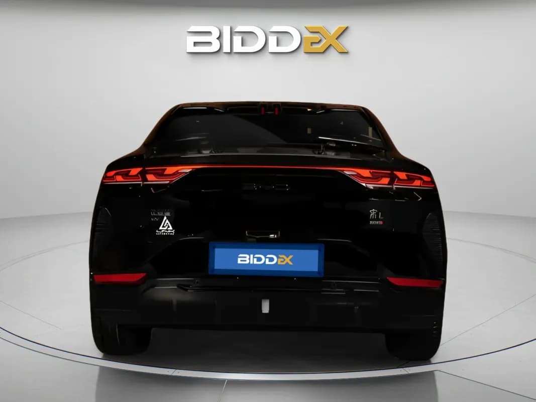 بي واي دي سونج ال 2025