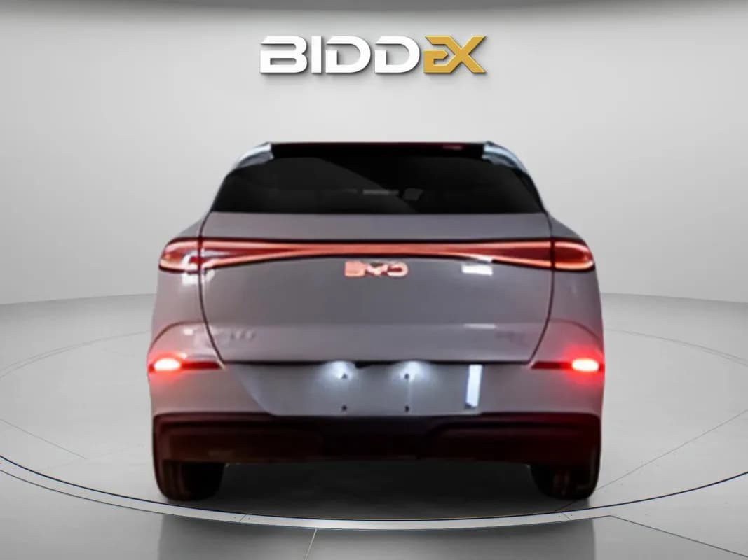 بي واي دي سيليون 2025