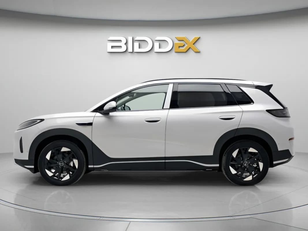 BYD Sealion 2025 6 White Automatic — New