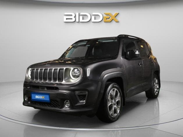 جيب رينيجيد 2020