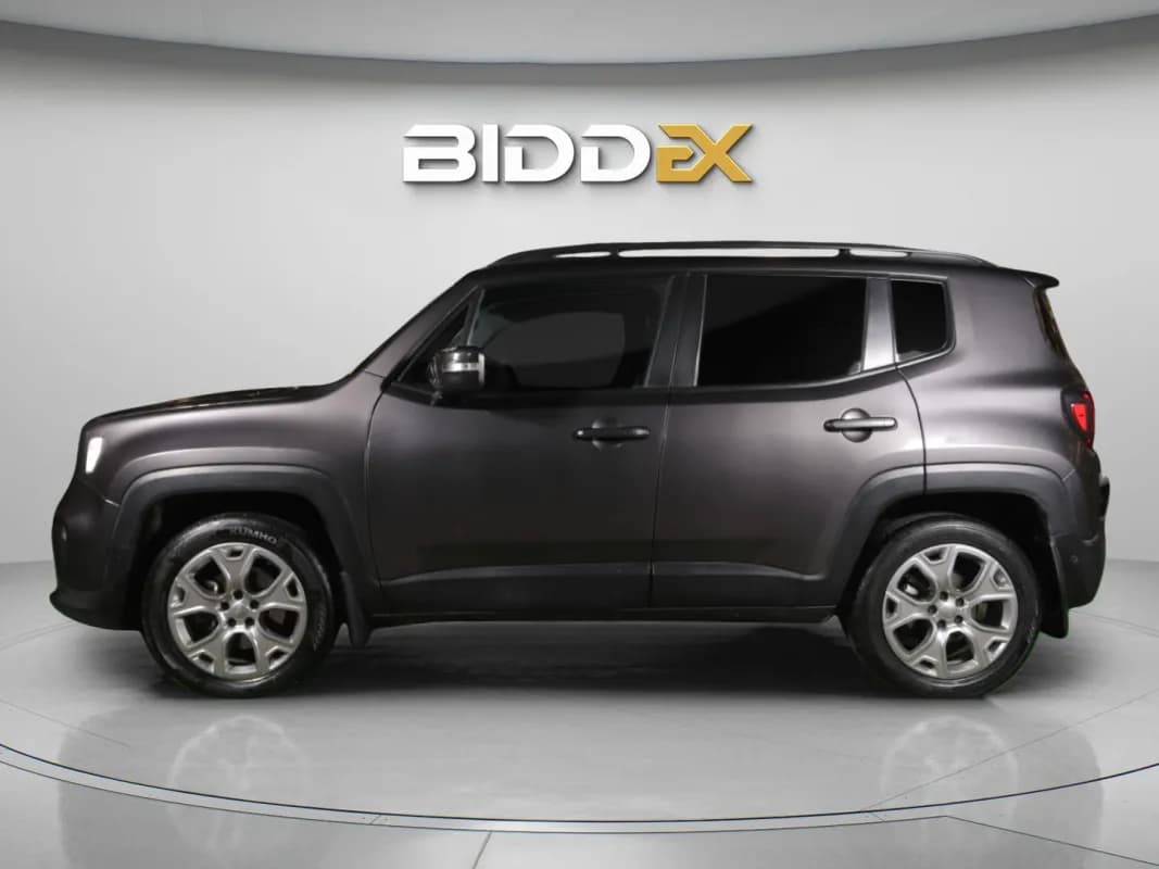 جيب رينيجيد 2020