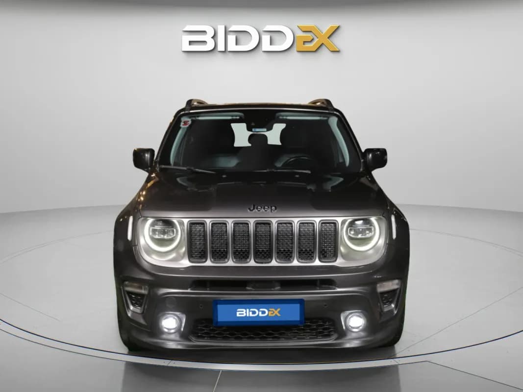 جيب رينيجيد 2020