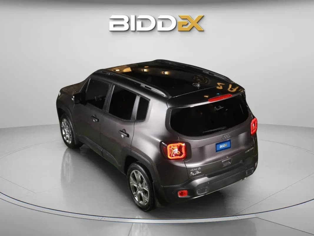 جيب رينيجيد 2020