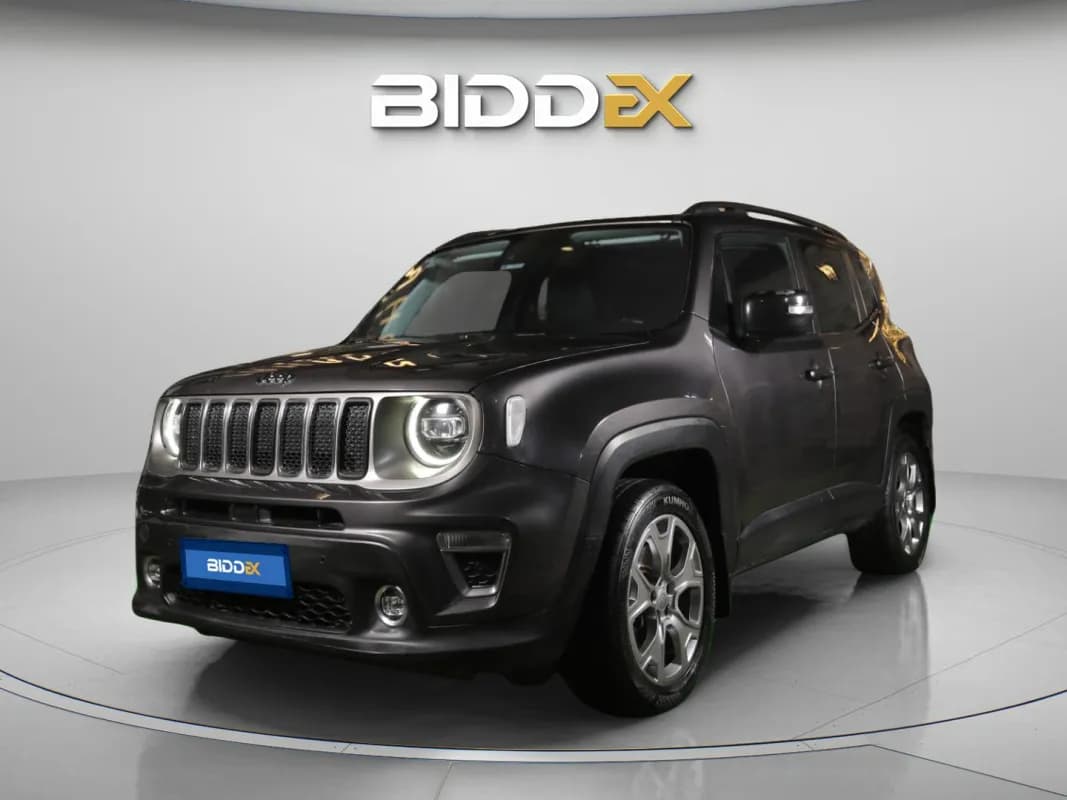 جيب رينيجيد 2020