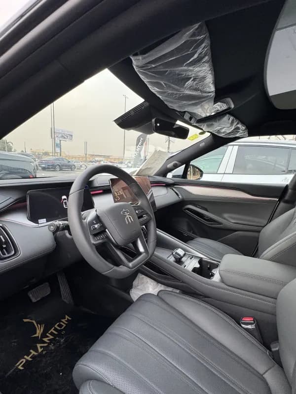 بي واي دي سونج ال 2025