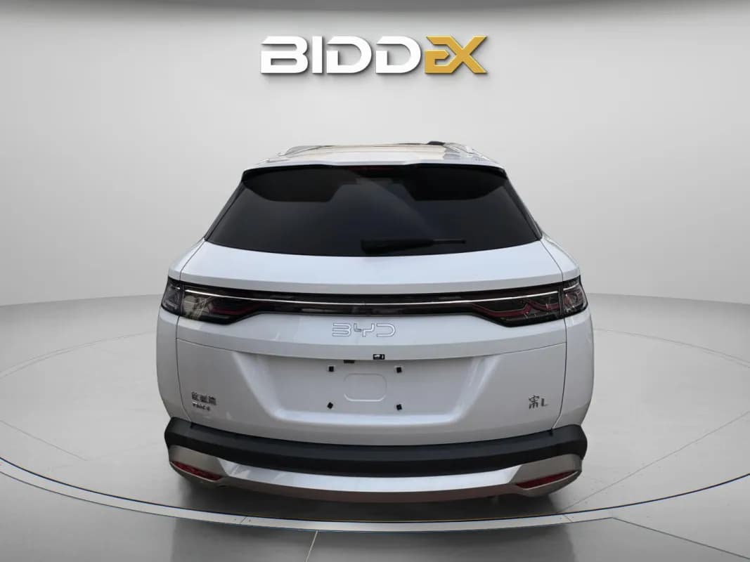 بي واي دي سونج ال 2025