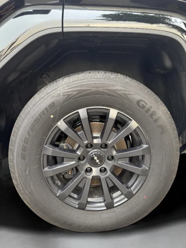 بي واي دي ليوبارد 2025