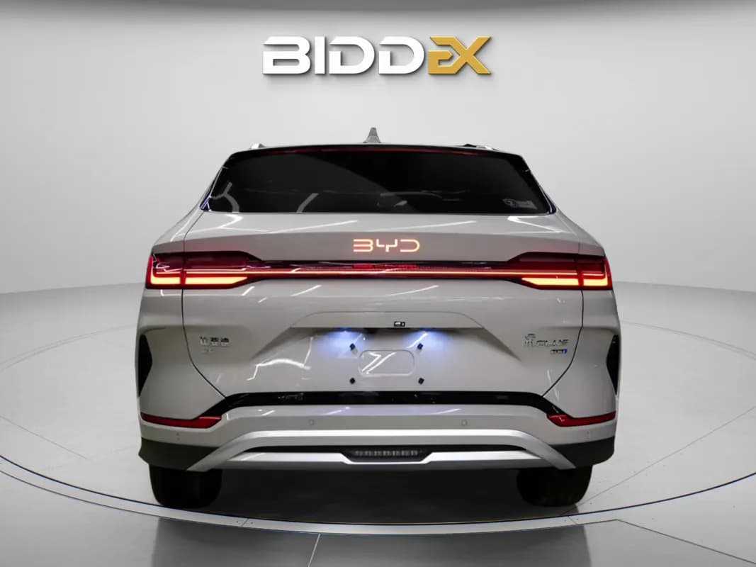 بي واي دي سونج بلس 2025