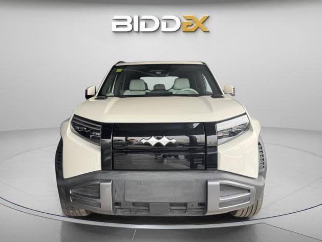 بي واي دي ليوبارد 2025