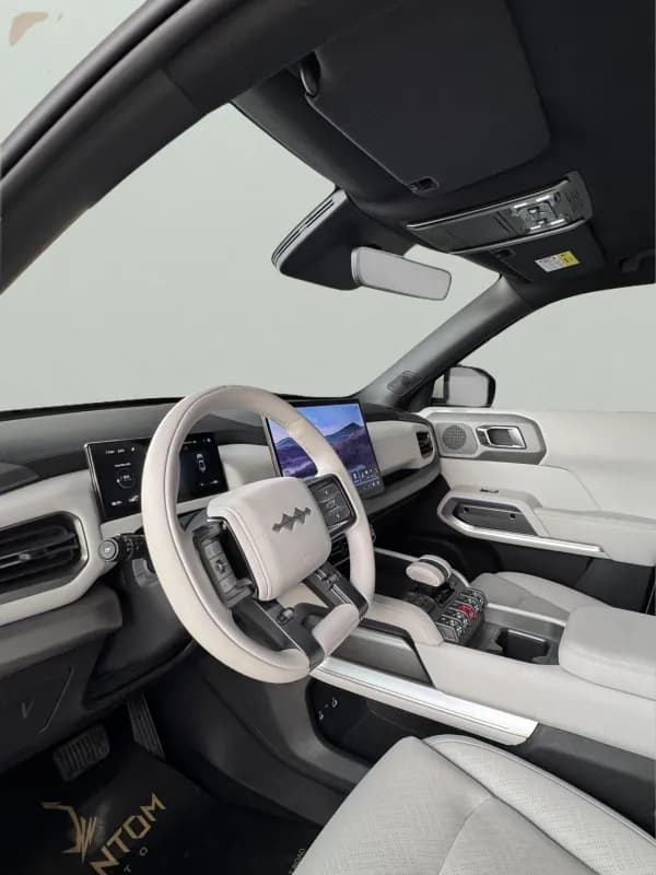 بي واي دي ليوبارد 2025