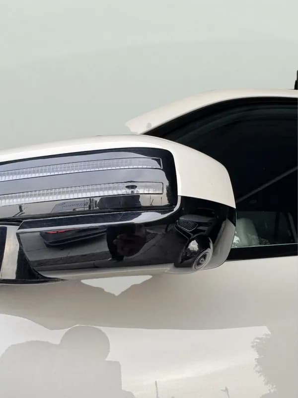 بي واي دي ليوبارد 2025