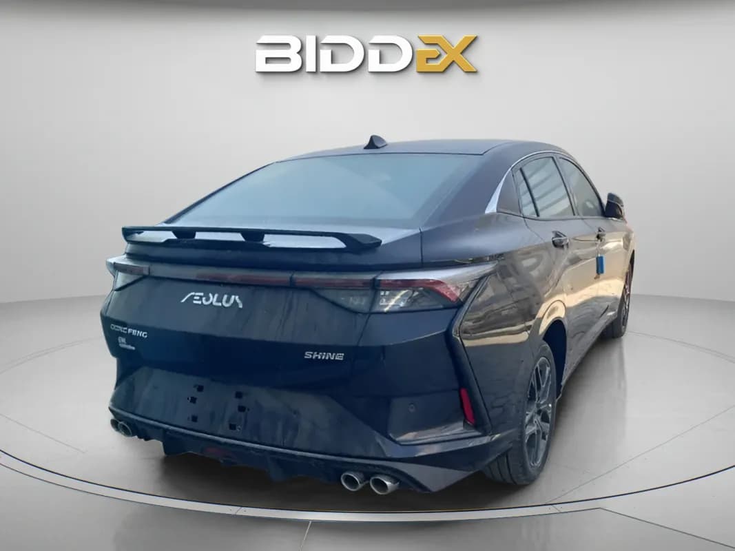 دونج فينج شاين 2026