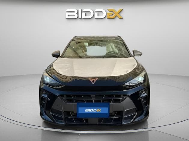 كوبرا تيرامار 2025