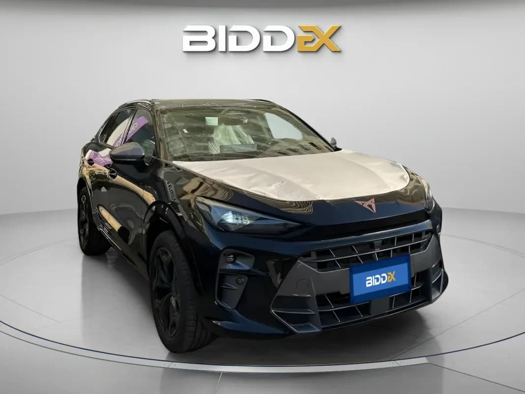 كوبرا تيرامار 2025