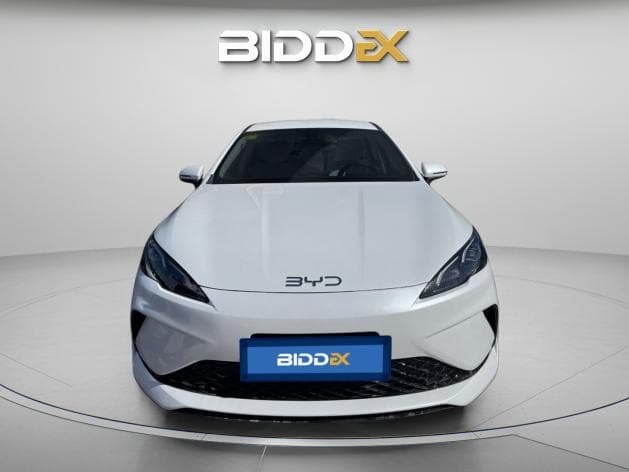 بي واي دي سيل 2025