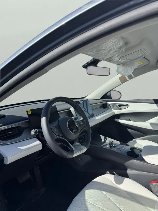 بي واي دي سيل 2025